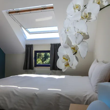 Resort Maisons De Azur En Ardenne 3*